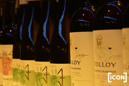Rząd butelek Tolloy i Maso di Mezzo